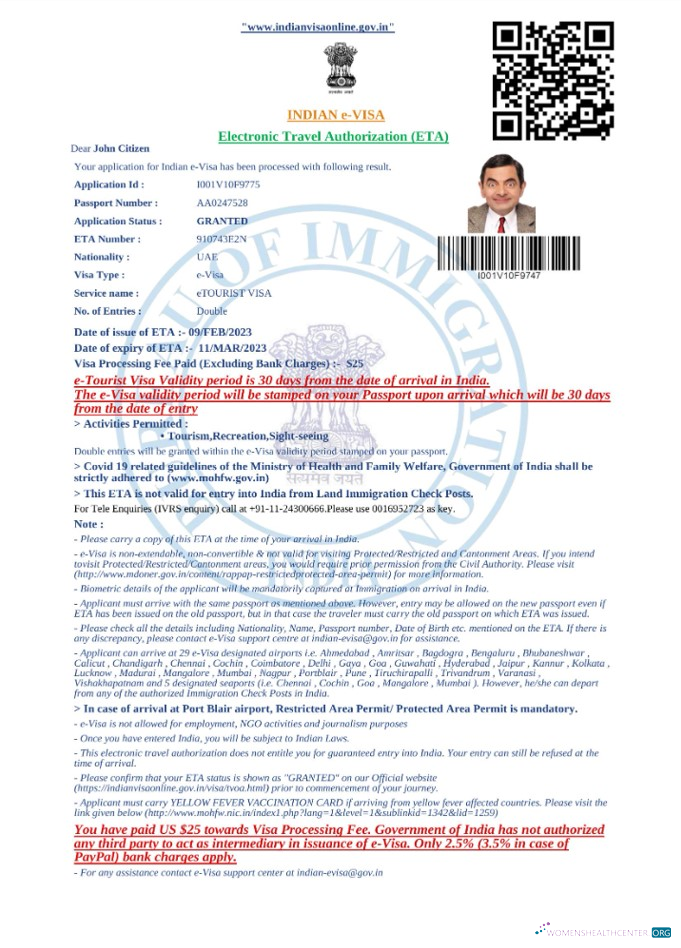 Download India e visa in Word and PDF template Photoshop template